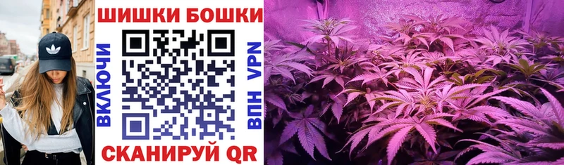 Где купить наркоту Котлас Конопля  Cocaine  Амфетамин  ГАШИШ  Alpha PVP 