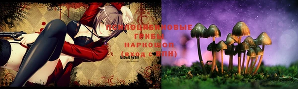 наркотики Богданович